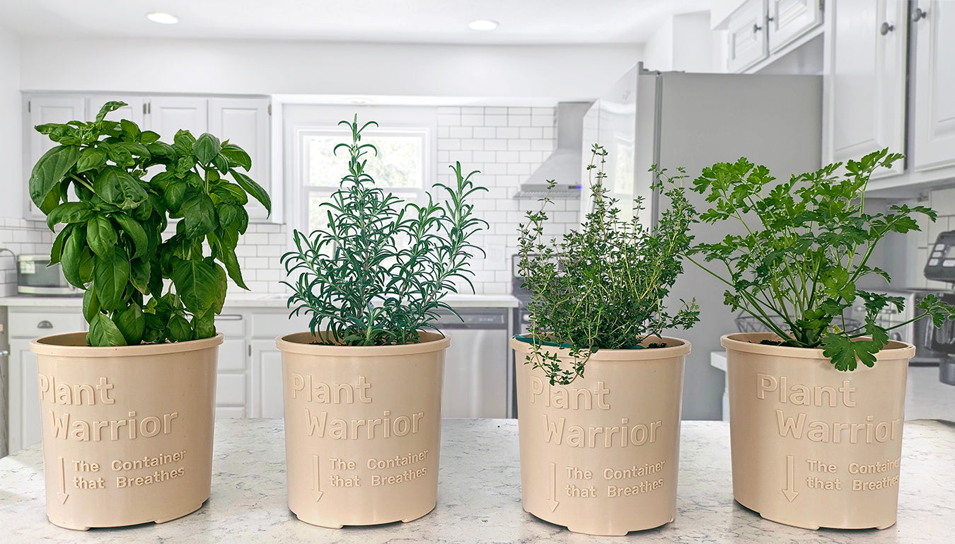 One Gallon. Set of 4. - planters, garden pots, plant warrior, container gardens, root warrior, raised beds,plant pots - Plant Warrior