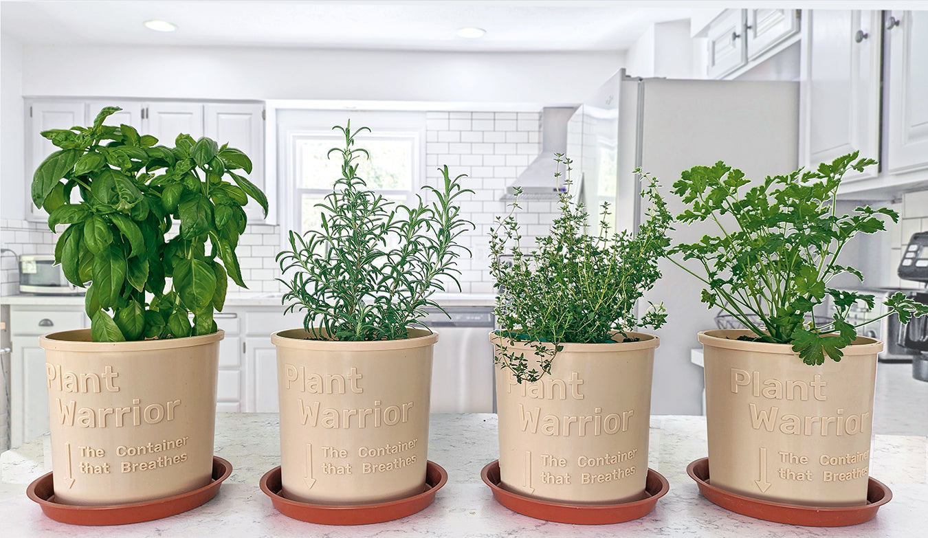 Drip Trays. Set of 12. - planters, garden pots, plant warrior, container gardens, root warrior, raised beds,plant pots - Plant Warrior