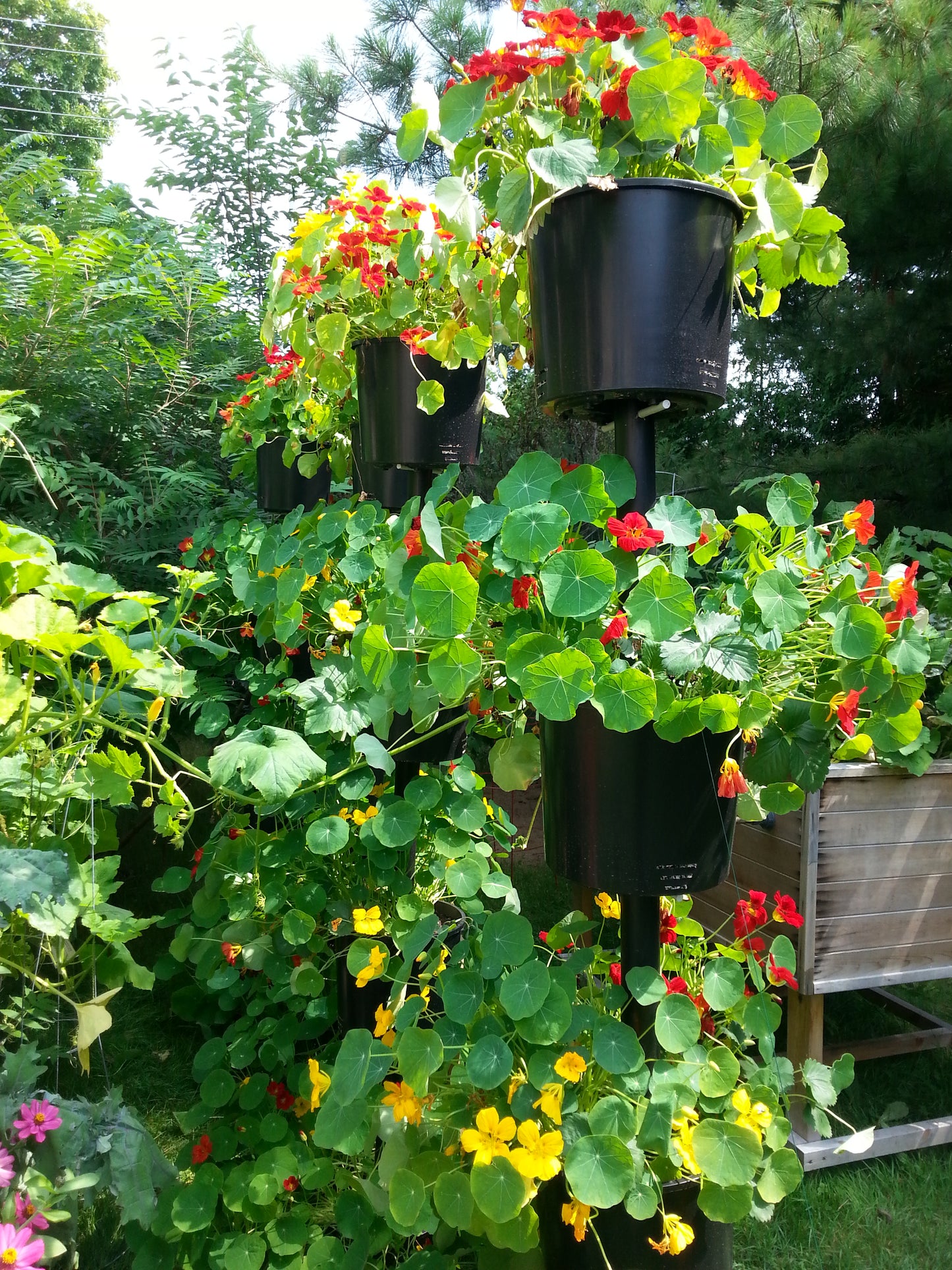 Large. Set of 5. - planters, garden pots, plant warrior, container gardens, root warrior, raised beds,plant pots - Plant Warrior