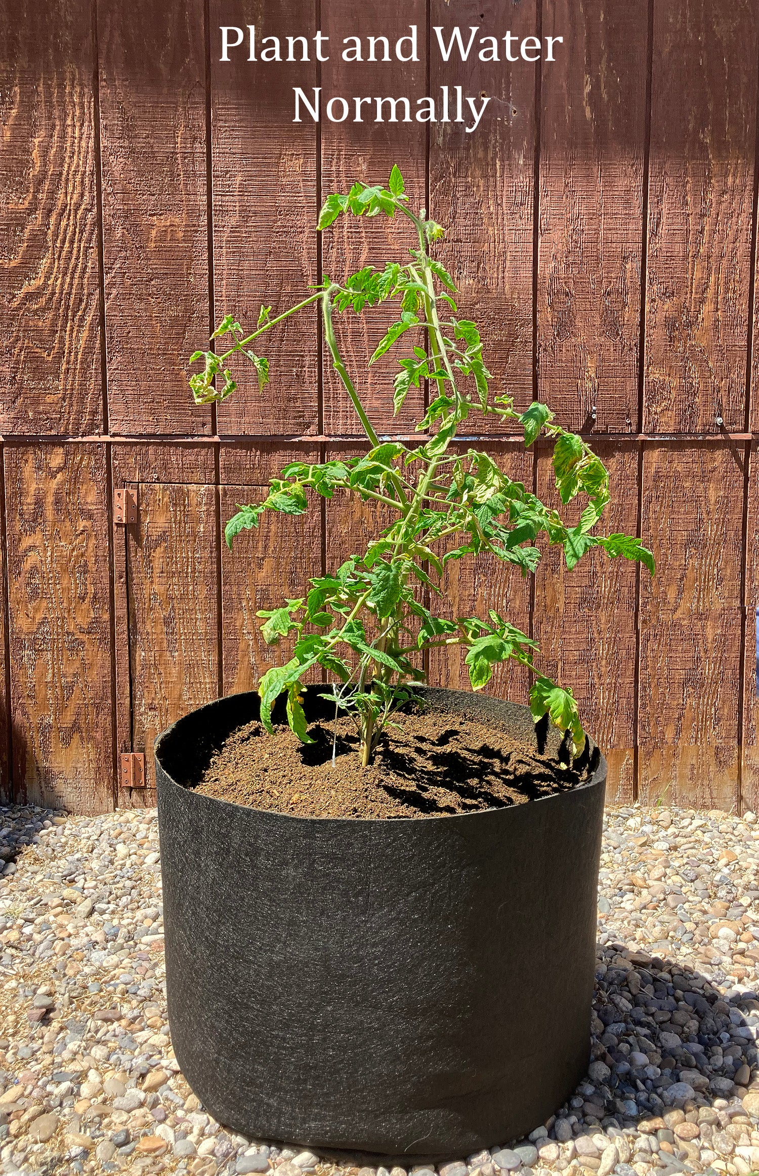 Large. Set of 5. - planters, garden pots, plant warrior, container gardens, root warrior, raised beds,plant pots - Plant Warrior