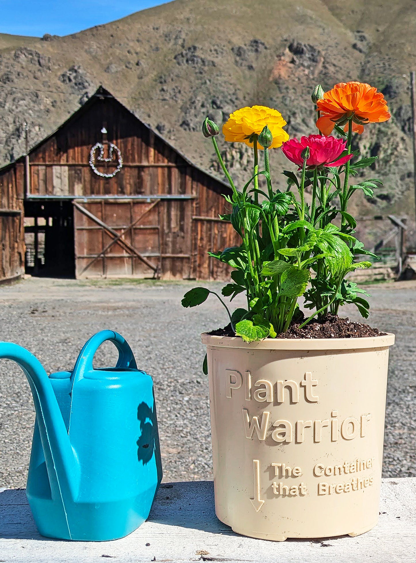 Set of 4 w/Drip Trays - planters, garden pots, plant warrior, container gardens, root warrior, raised beds,plant pots - Plant Warrior