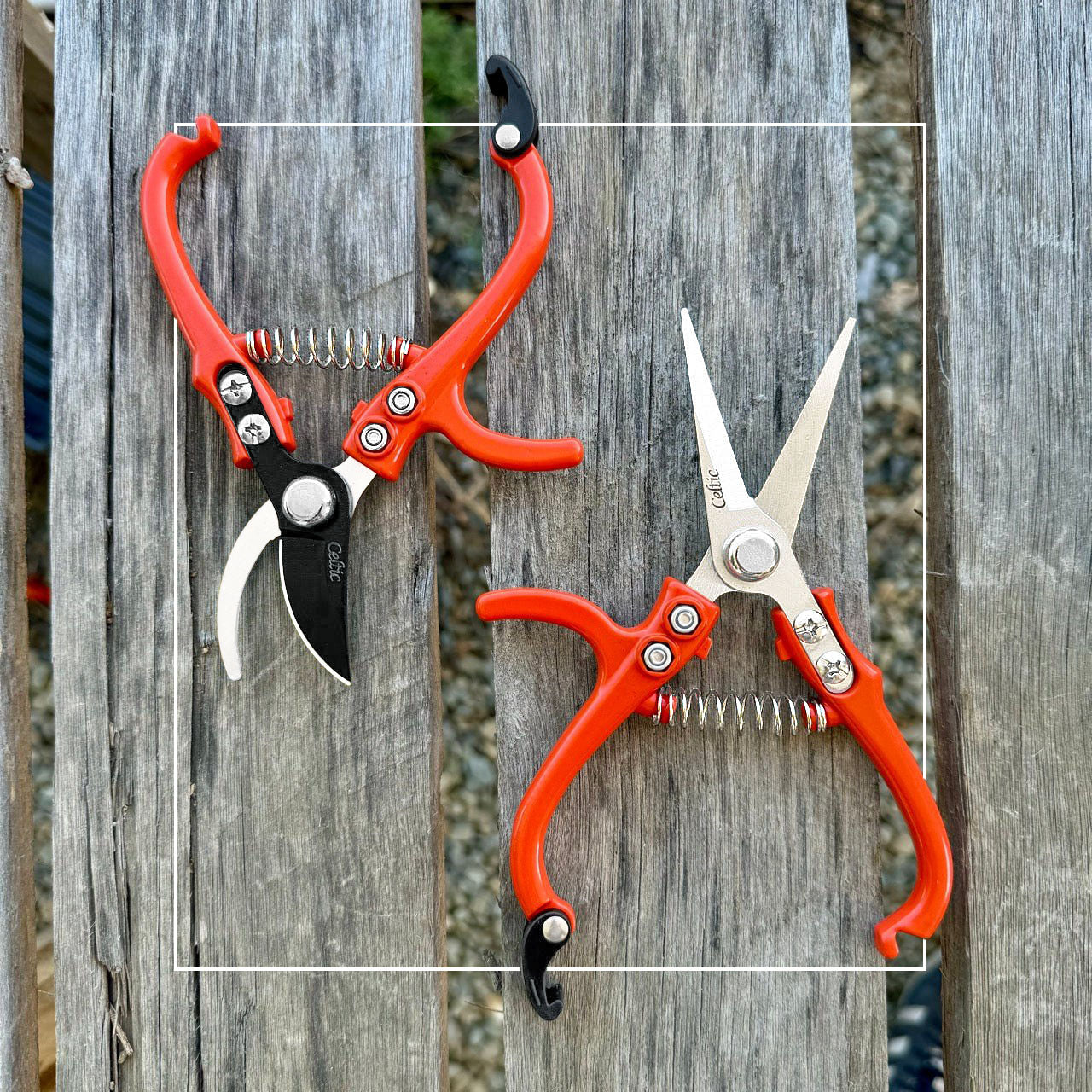 Mini Hand Pruner Gift Set - Ergonomic Pruners